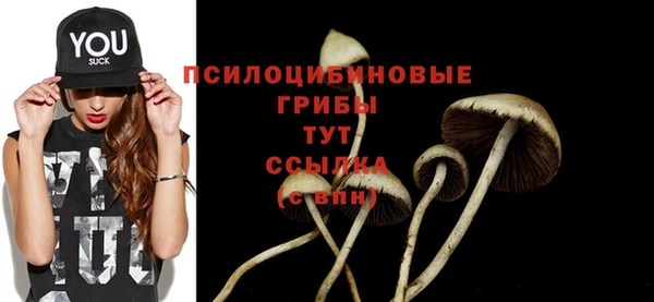 спайс Мегион