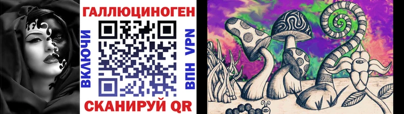 Псилоцибиновые грибы Psilocybe  Хилок 